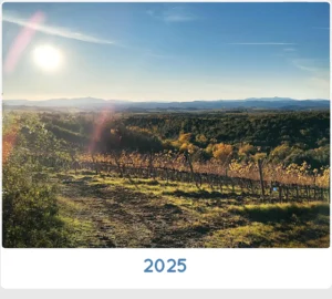 SanCarlo Montalcino 2025