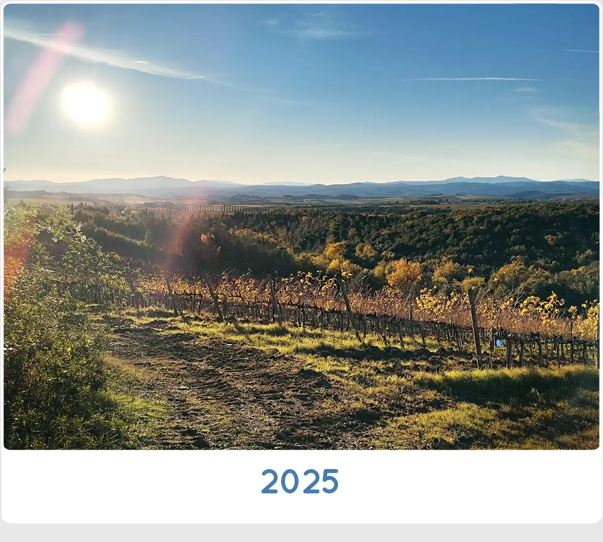 SanCarlo Montalcino 2025